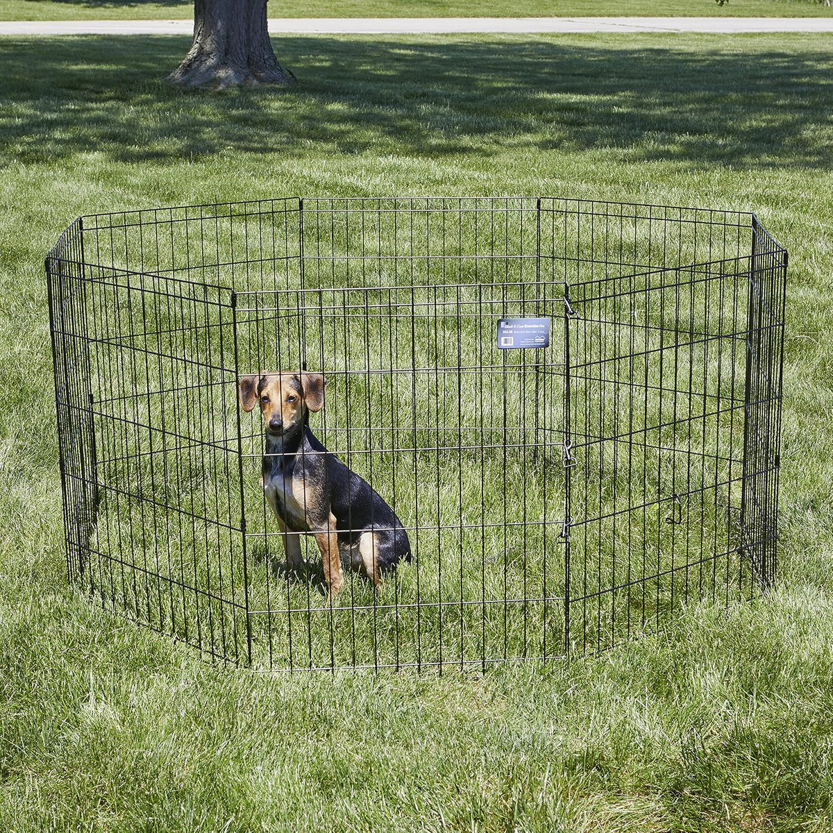 MidWest 30-Inch Exercise Pen, Single Door, 16 Sq Ft Play Area – Essentials for Dogs - Black No Door / 30" H - image 2