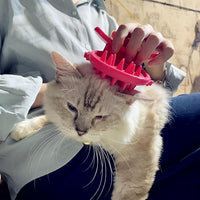 Cat Brush Shedding Grooming, Soft Massage Cat Tongue Brush, Licking Your Cat Like a Mama Cat to Comfort, Surprise Pet Gifts