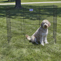 MidWest 30-Inch Exercise Pen, Single Door, 16 Sq Ft Play Area – Essentials for Dogs - Black w/ Door / 48" H - image 2