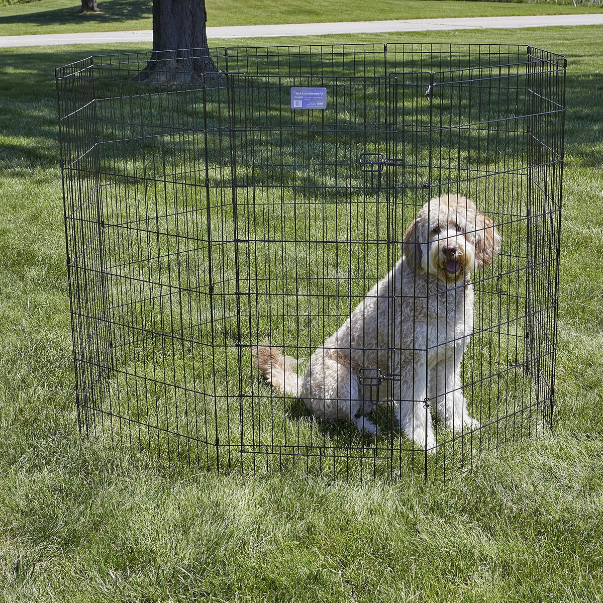 MidWest 30-Inch Exercise Pen, Single Door, 16 Sq Ft Play Area – Essentials for Dogs - Black w/ Door / 48" H - image 2