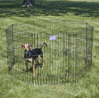 MidWest 30-Inch Exercise Pen, Single Door, 16 Sq Ft Play Area – Essentials for Dogs - Black w/ Door / 30" H - image 2