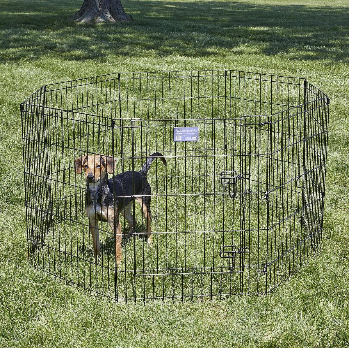 MidWest 30-Inch Exercise Pen, Single Door, 16 Sq Ft Play Area – Essentials for Dogs - Black w/ Door / 30" H - image 2