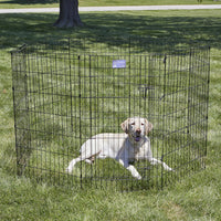 MidWest 30-Inch Exercise Pen, Single Door, 16 Sq Ft Play Area – Essentials for Dogs - Black w/ Door / 42" H - image 2