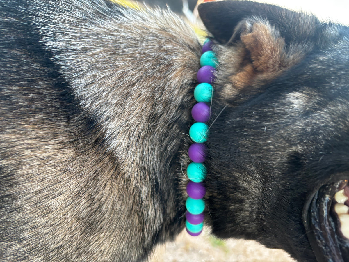 Dog Collar-Pet Collars & Leashes-BIG FRENCHIES-Ruby's Rodeo Beads