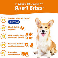 Pet Vitamin Health Product: Multi-Functional Nutritional Supplement for Dogs