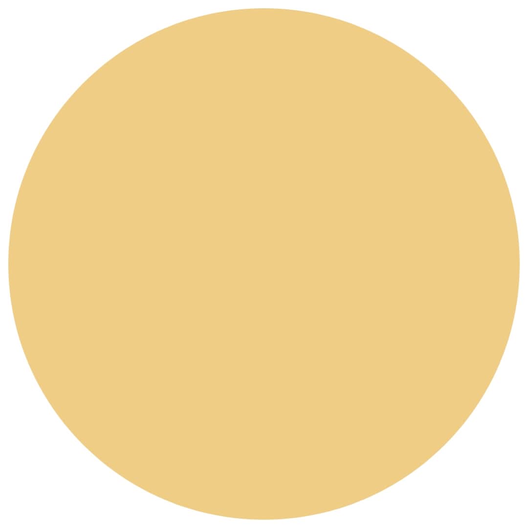 Papaya | Adult Button Pajama Top