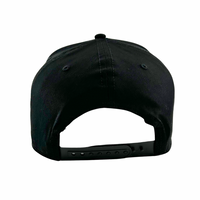 Lightweights Podcast Official Merch Black/Black Puff SnapBack Hat Custom Embroidered