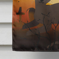 Halloween Peterbald Cat House Flag 28x40 Porch Sleeve Pole Decorative Outside Yard Banner Artwork Wall Hanging, Polyester