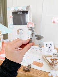 Vet Clinic Dramatic Play