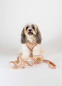 Check Me Out Adjustable Harness