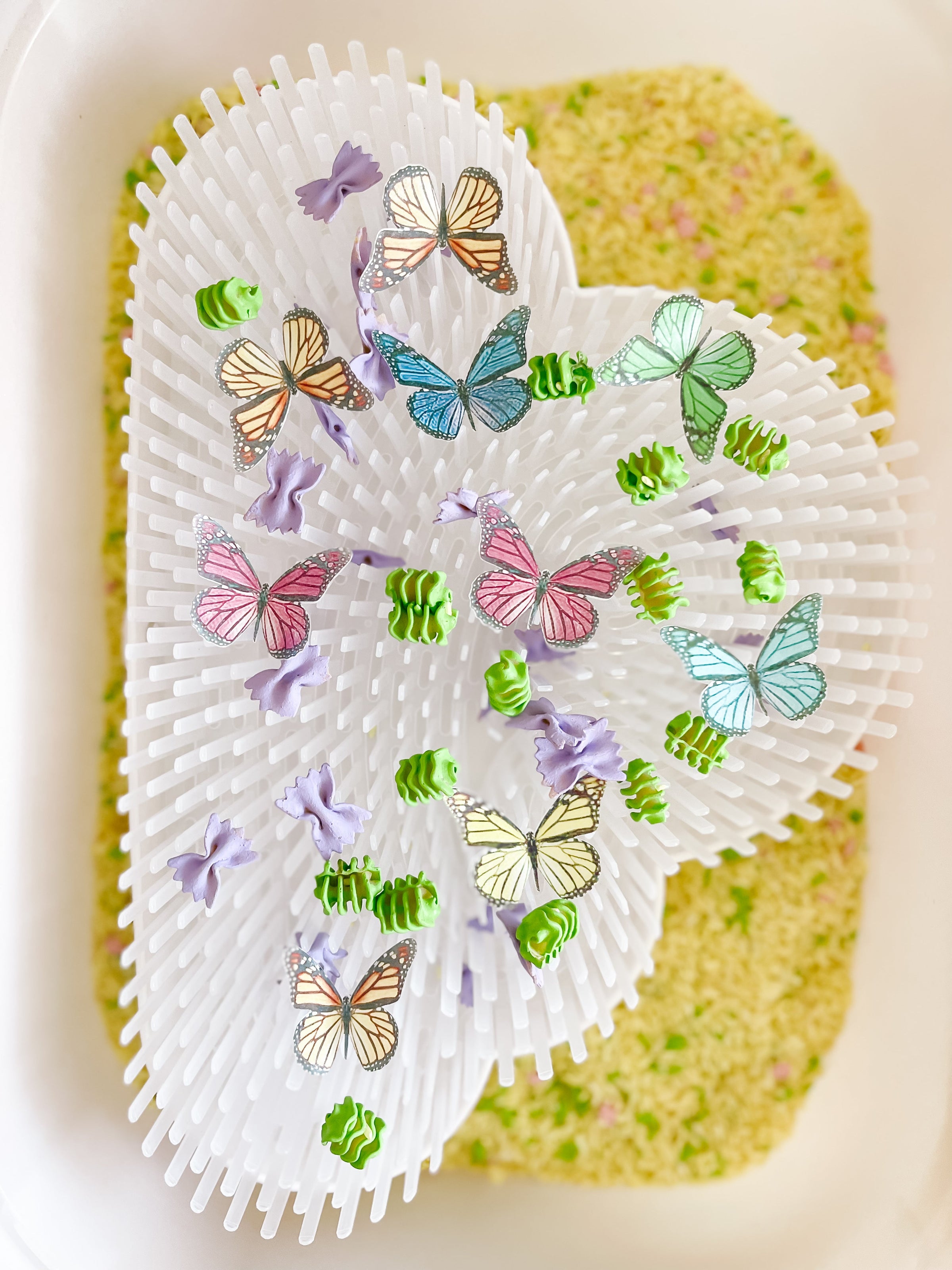 Bugs Printable Dramatic Play