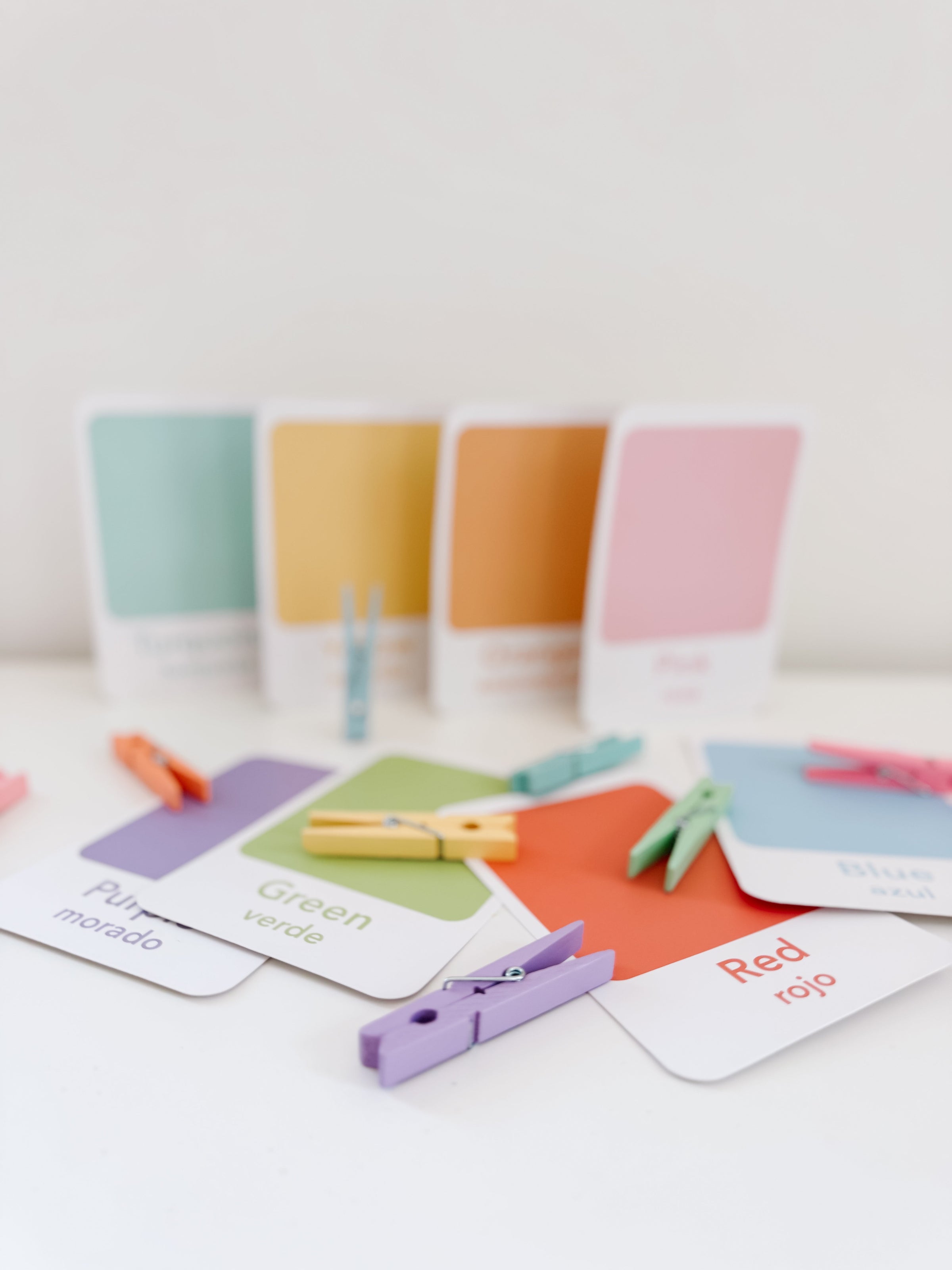 Color Sorting Flashcards