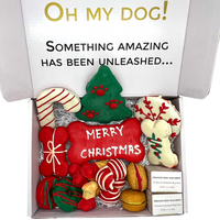 Christmas Themed Dog Treats Gift Box - BIG FRENCHIES