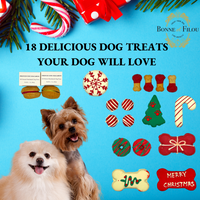 Christmas Themed Dog Treats Gift Box - BIG FRENCHIES