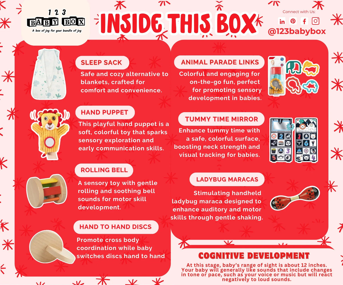 Montessori Educational Box (3-4 Months) - BIG FRENCHIES