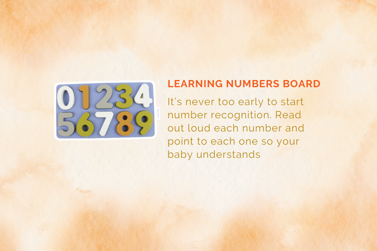 Montessori Educational Box (5-6 Months)