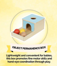 Montessori Educational Box (5-6 Months)