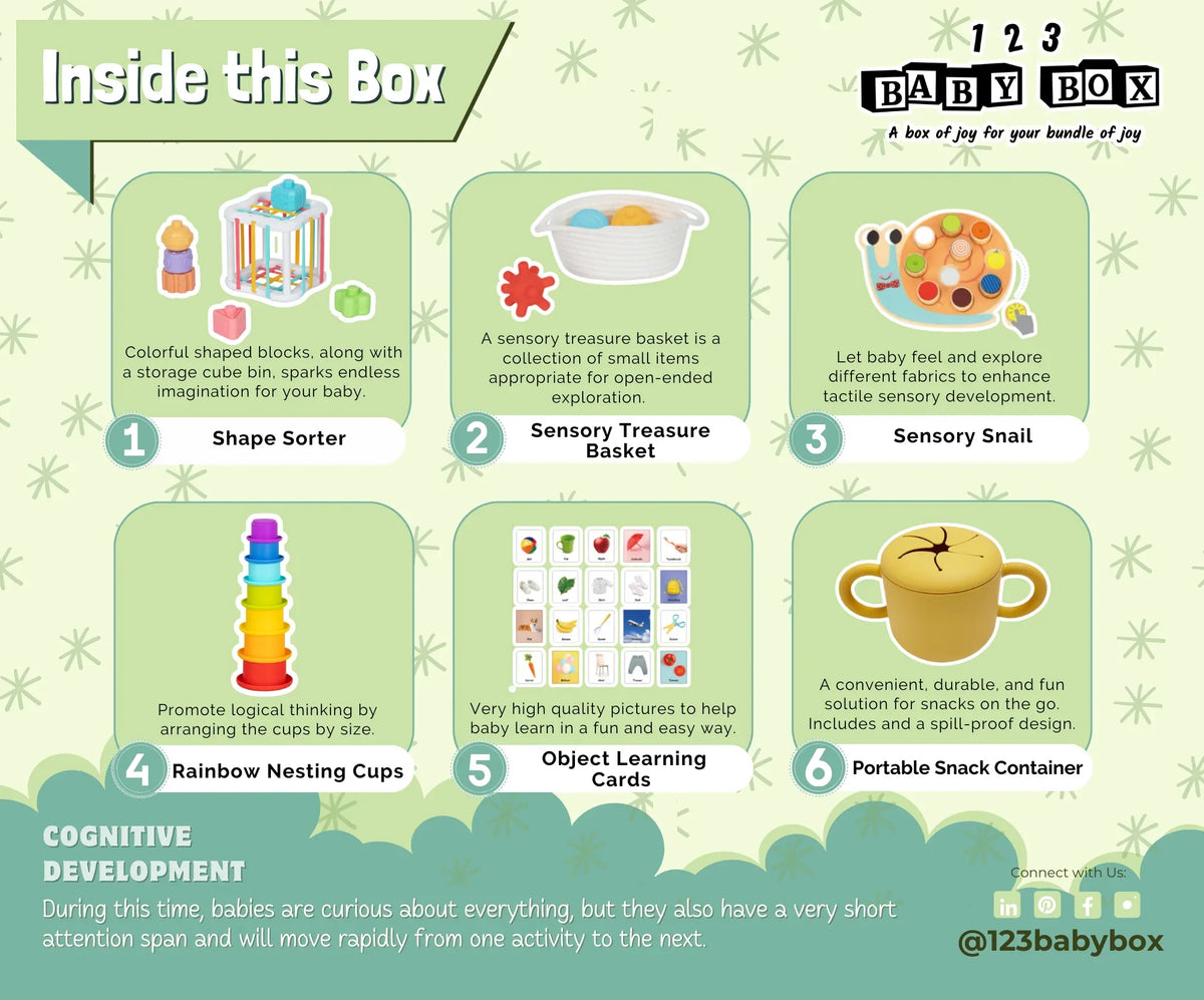 Montessori Educational Box (7-8 months) - BIG FRENCHIES