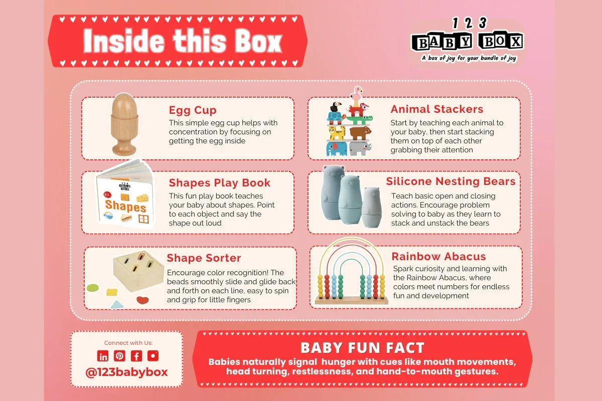 Montessori Educational Box (9-10 Months) - BIG FRENCHIES