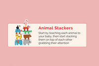 Montessori Educational Box (9-10 Months)