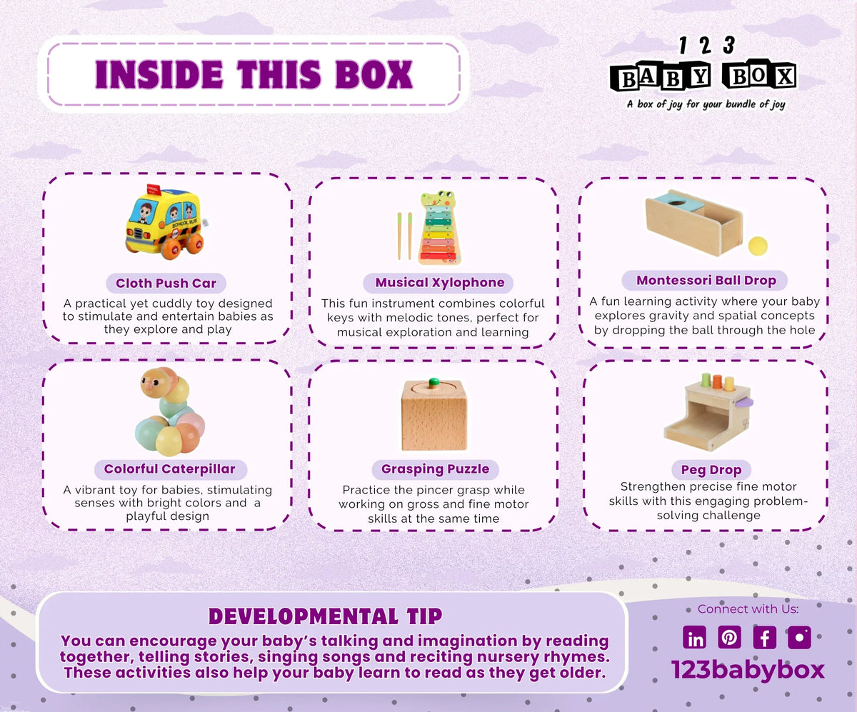 Montessori Educational Box (11-12 months) - BIG FRENCHIES