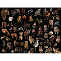 Baby Animals National Geographic Photo Ark 500 Piece Jigsaw Puzzle NYPC