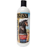 Banixx Horse Shampoo 16 oz – Marine Collagen – Skin & Coat Care – USA Made
