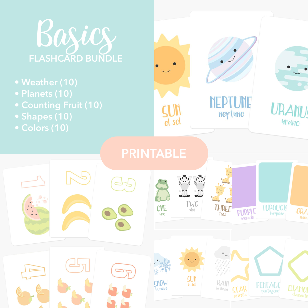 Basics Flashcards Bundle