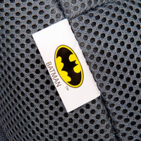 Batman 2-in-1 Harness to Booster Car Seat