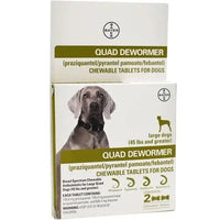Bayer Quad Dewormer Chewable Tablets for S M L Dogs