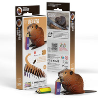 Beaver 3D Cardboard Model Kit Eugy