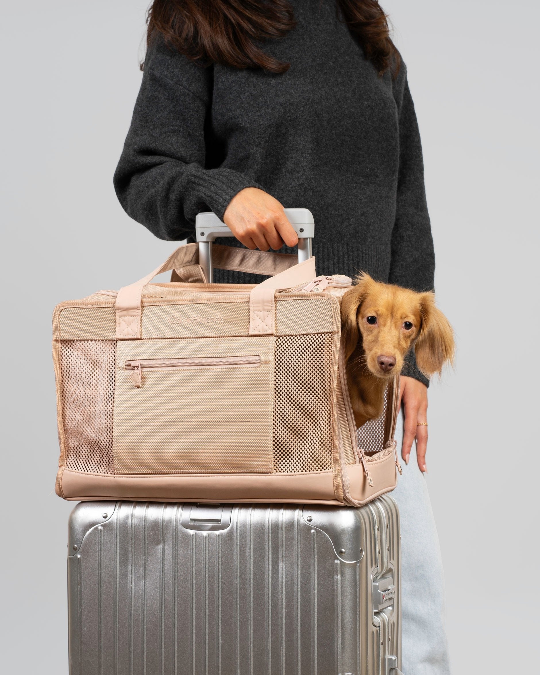 Beige Pet Travel Carrier - BIG FRENCHIES