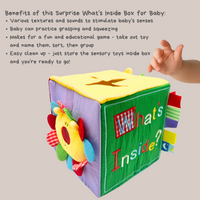 Baby Surprise Box What's Inside Box with Colorful Sensory Baby Toys - BIG FRENCHIES