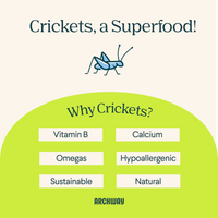 Peanut Butter Cricket Better Biscuit