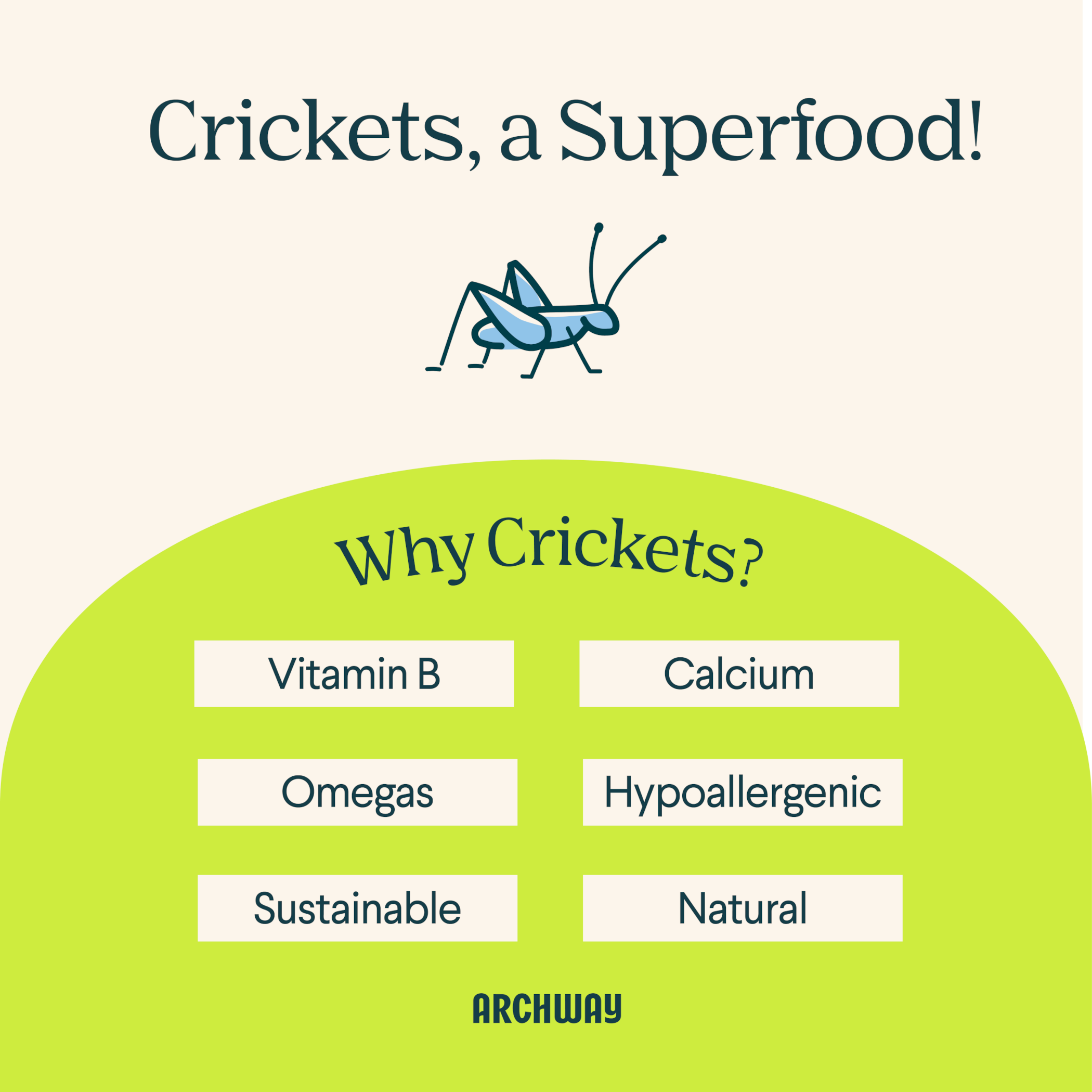 Peanut Butter Cricket Better Biscuit