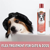 Bio-Groom Shampoo & Repel Combo – Natural 2-Pack