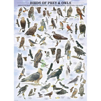 Birds of Prey & Owls 1000 Piece Jigsaw Puzzle Eurographics