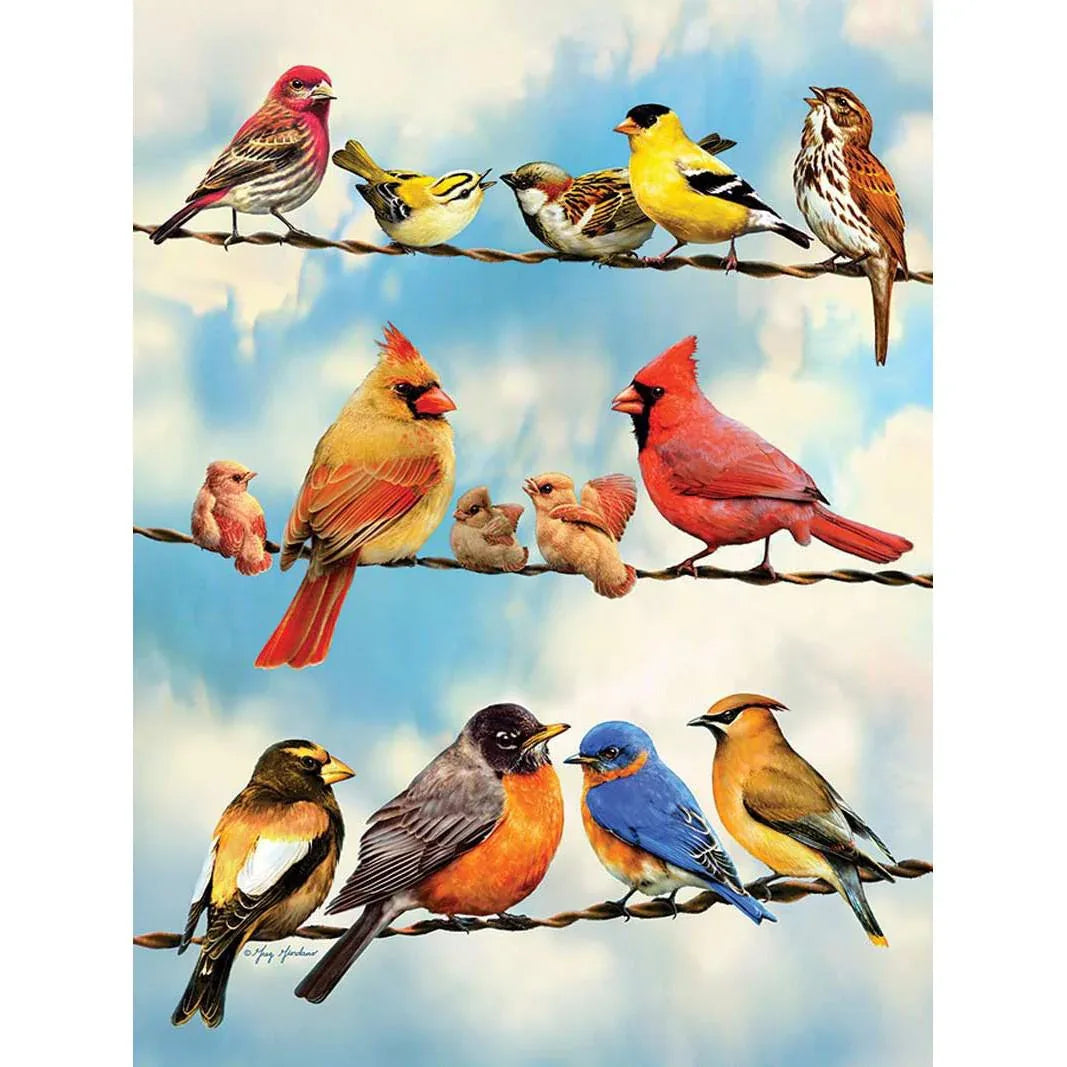 Birds on a Wire 500 Piece Jigsaw Puzzle Cobble Hill - BIG FRENCHIES