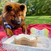 Birthday Cake for Dogs - Birthday Cake Flavor