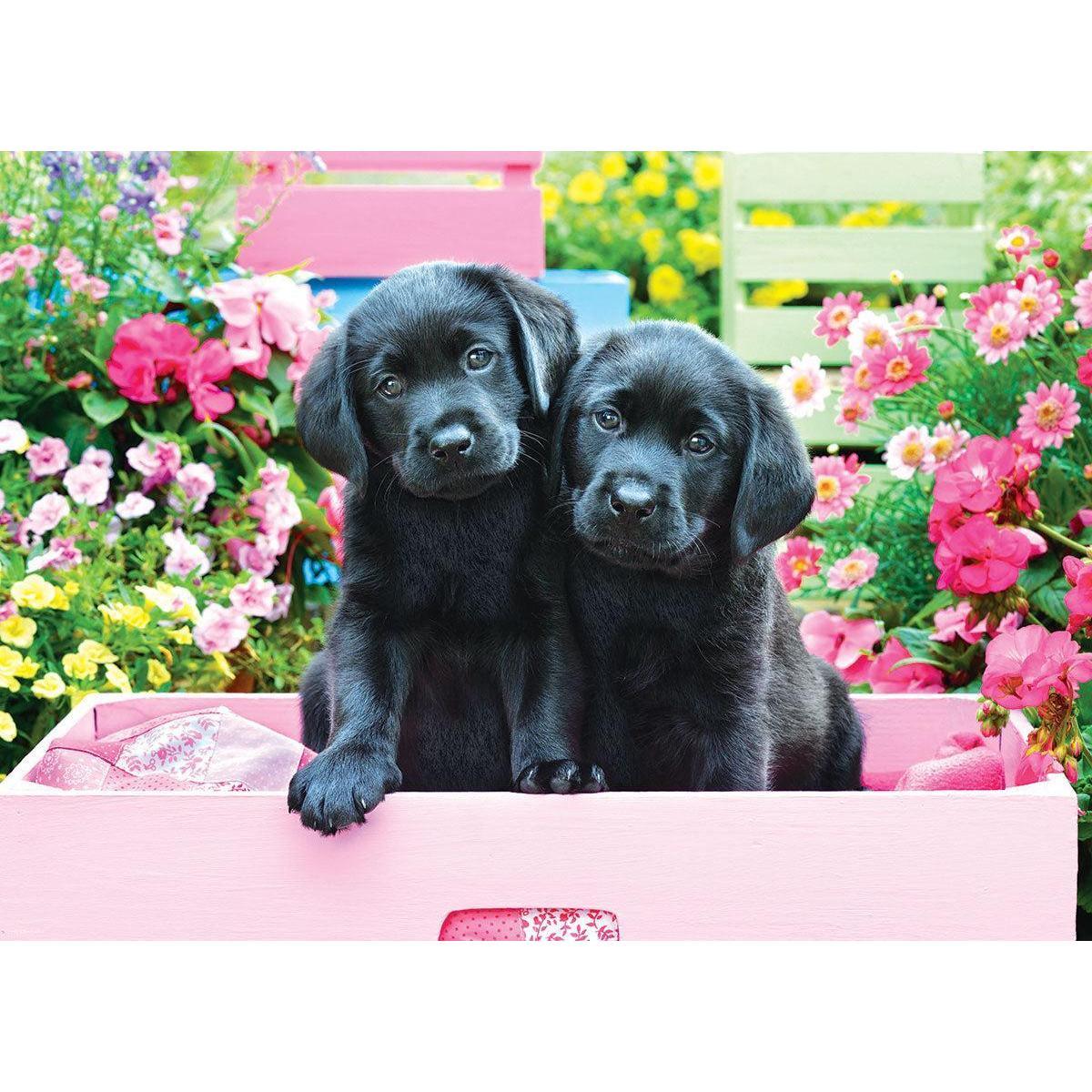 Black Labs in a Pink Box 500 Piece Jigsaw Puzzle Eurographics - BIG FRENCHIES