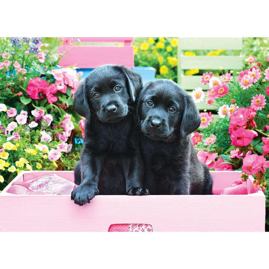 Black Labs in a Pink Box 500 Piece Jigsaw Puzzle Eurographics - BIG FRENCHIES
