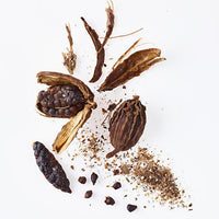 Solin: Cardamom + Grapefruit - Botanical Scent Balm - BIG FRENCHIES