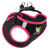 Teal Step In Dog Harness - Rapid Fastener Reflective Soft Mesh Vest Halter for Puppies and XXXS to Small Dogs - BIG FRENCHIES