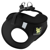 Teal Step In Dog Harness - Rapid Fastener Reflective Soft Mesh Vest Halter for Puppies and XXXS to Small Dogs - BIG FRENCHIES