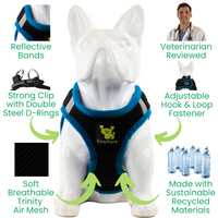 EcoBark Teal and Black Step In Dog Harness - Rapid Fastener Reflective Soft Mesh Vest Halter for Puppies and XXXS to Small Dogs - BIG FRENCHIES