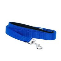 Padded Grip Dog Leash – Durable Nylon, Comfortable, and Secure – 5ft. - BIG FRENCHIES