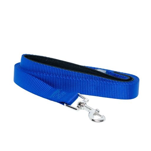 Padded Grip Dog Leash – Durable Nylon, Comfortable, and Secure – 5ft. - BIG FRENCHIES