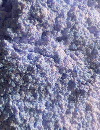 Blueberry Flavored Yak Cheese Chew - Made with REAL BLUEBERRY Puree - Single