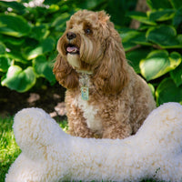 HuggleFleece® 2' Plush Bone Dog Toy - BIG FRENCHIES