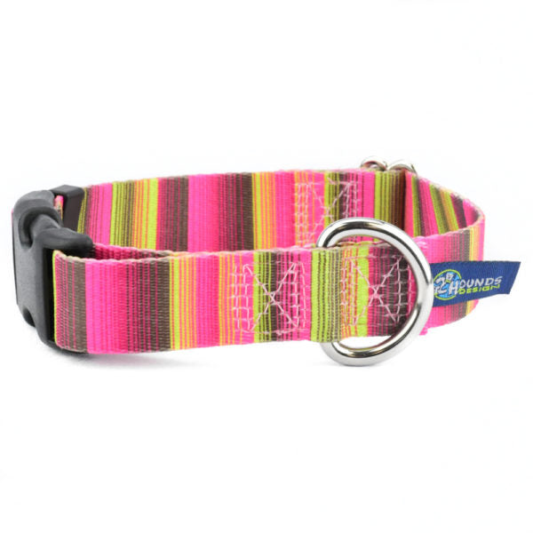 Bonnie Buckle Martingale Dog Collar – EarthStyle-Pet Collars & Leashes-BIG FRENCHIES-2 Hounds Design